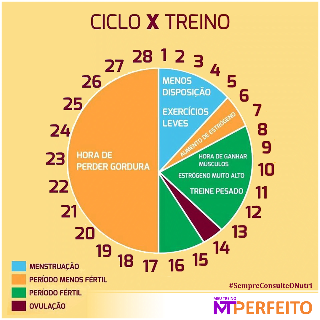 Ciclo Menstrual x Treino