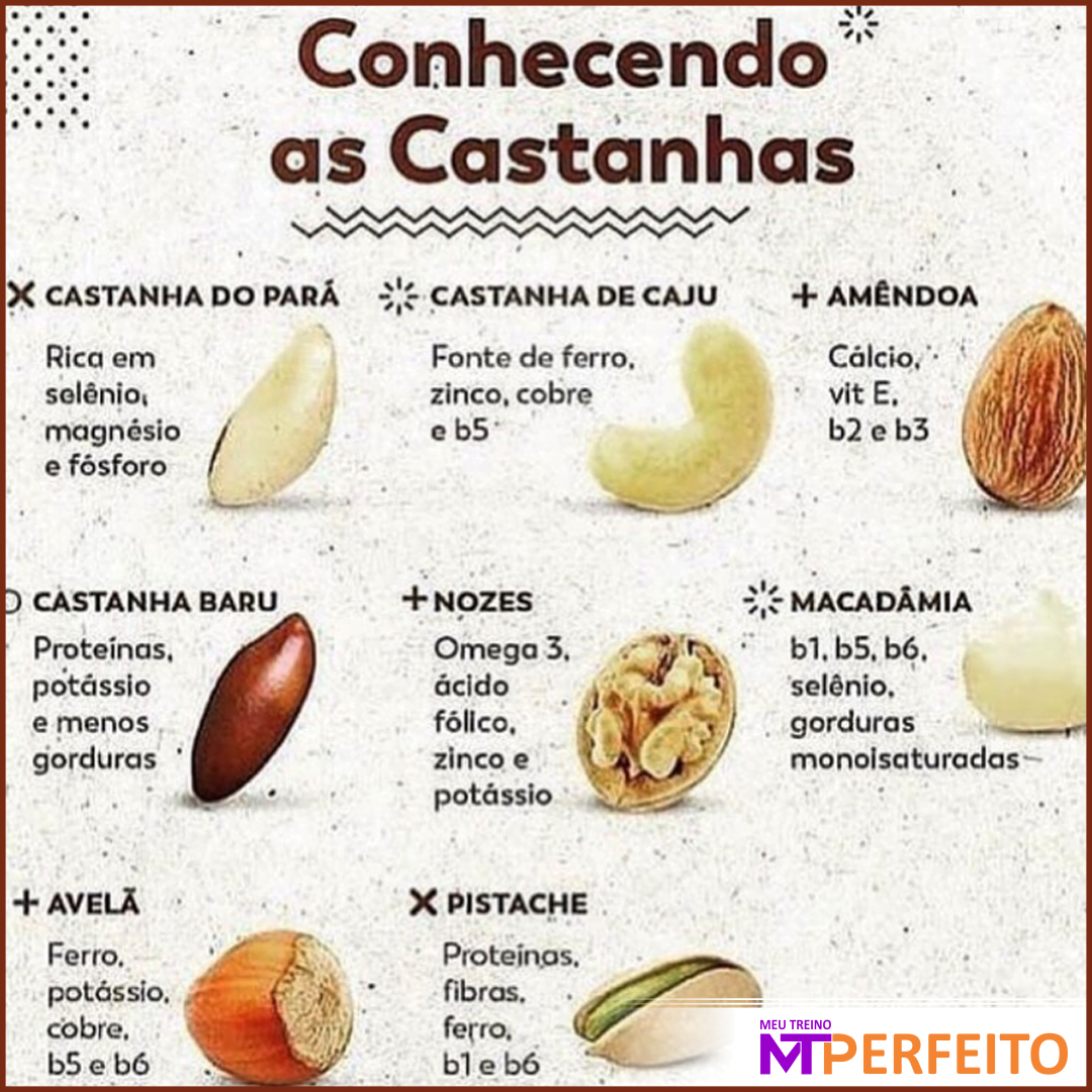 Conhecendo as Castanhas