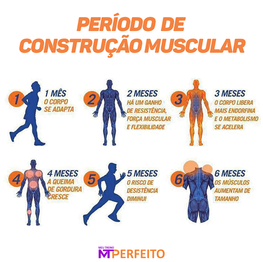 Período de Construção Muscular