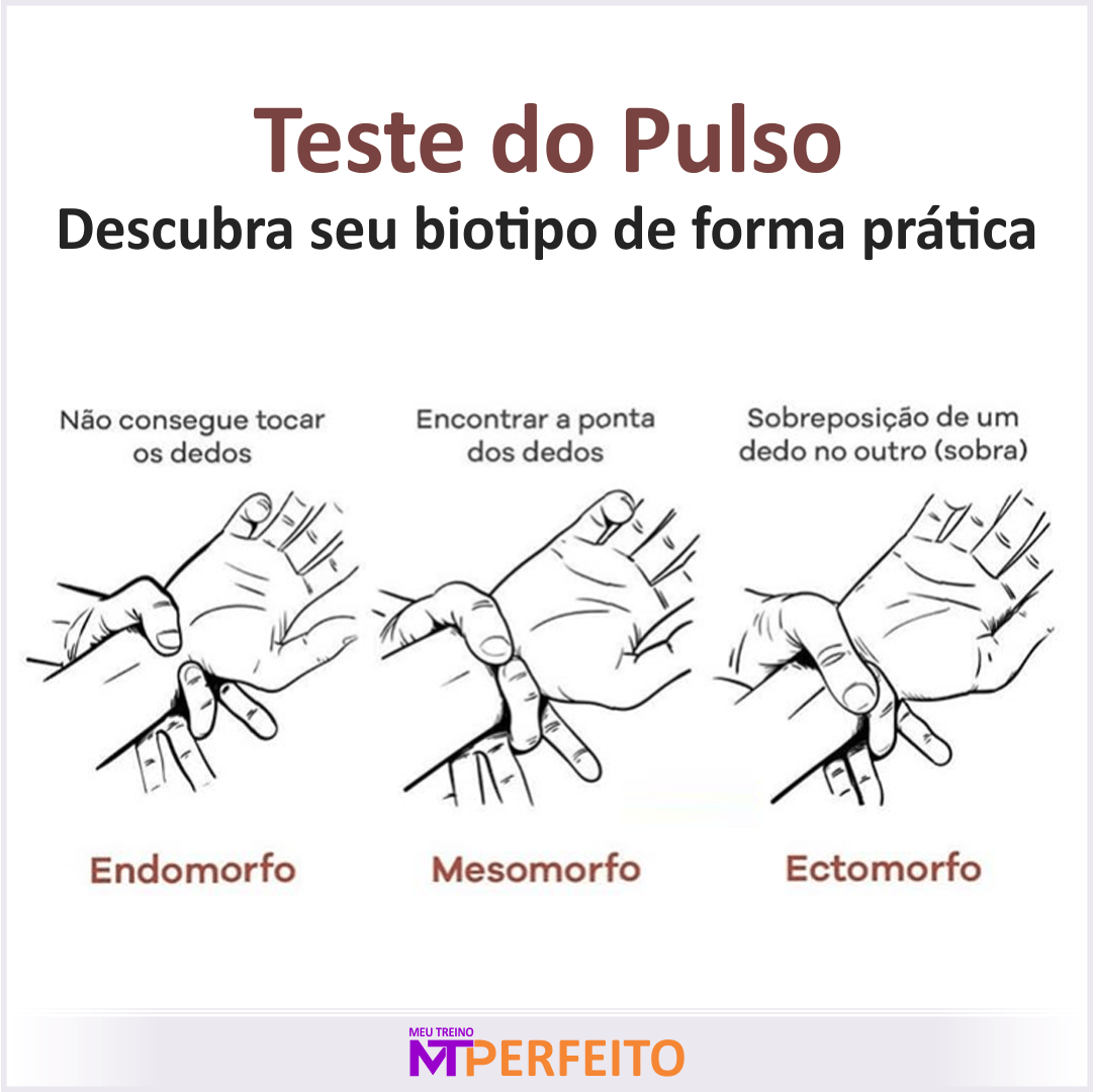 Ectomorfo, Mesomorfo e Endomorfo: Teste do Pulso