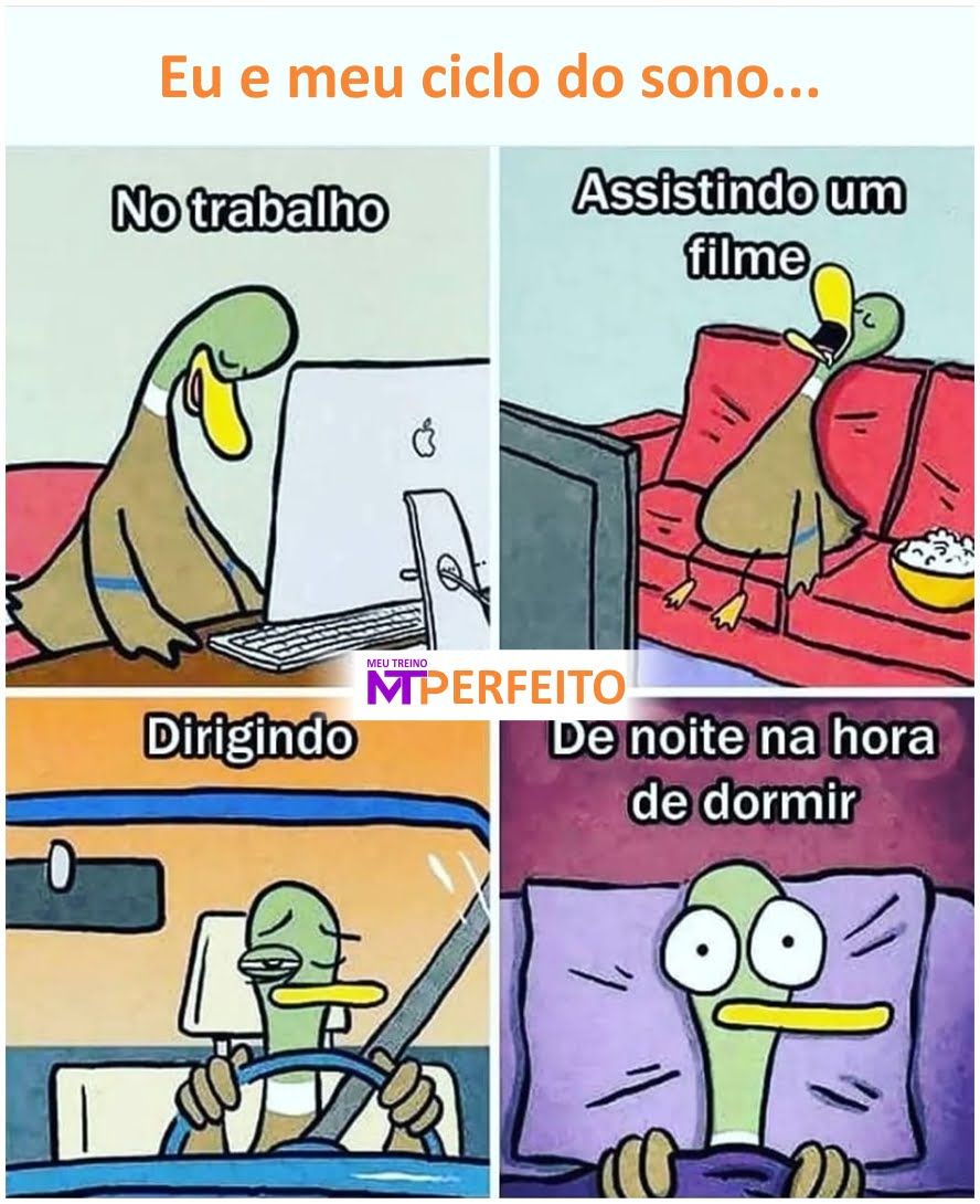 Eu e meu ciclo do sono