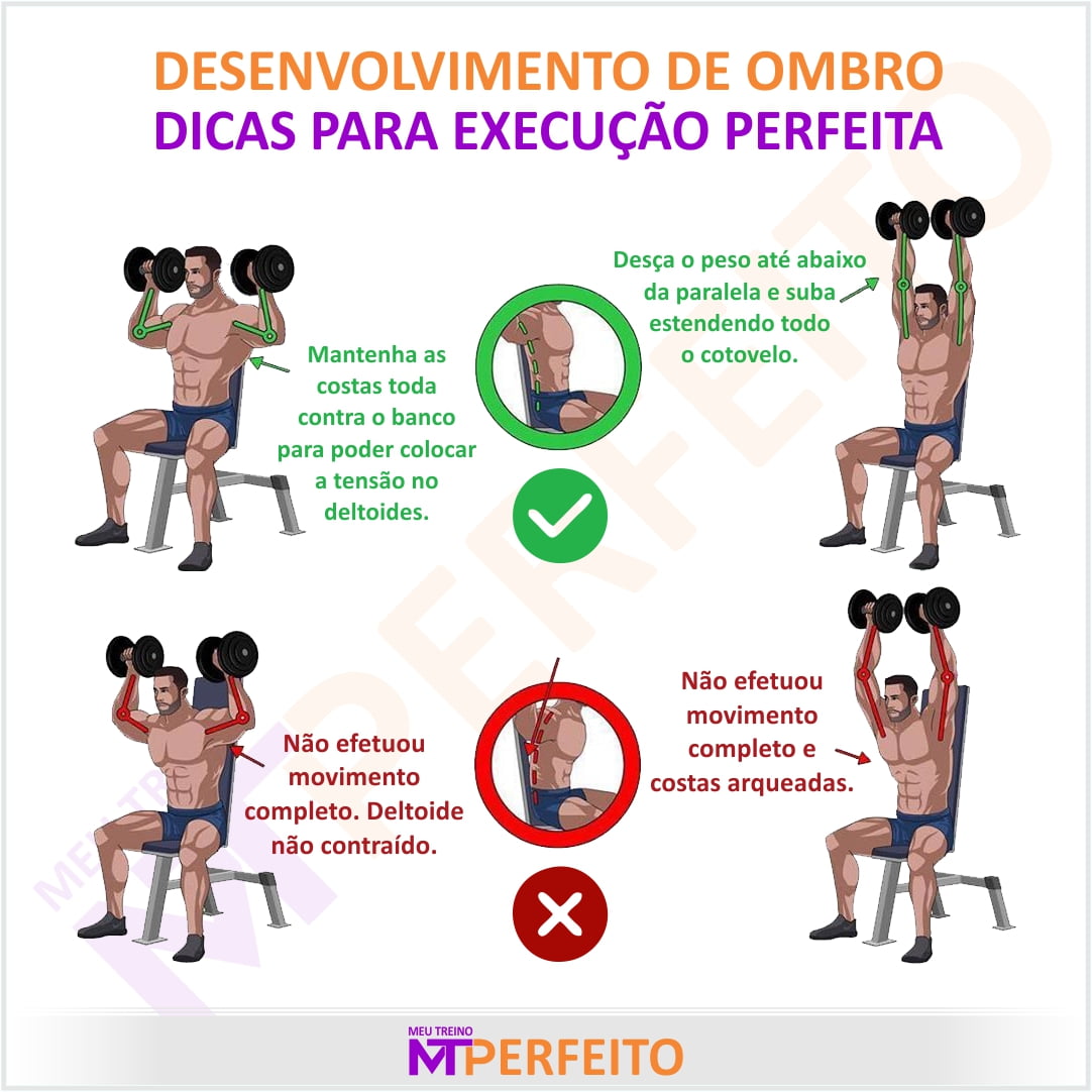 Desenvolvimento de Ombro com Halter