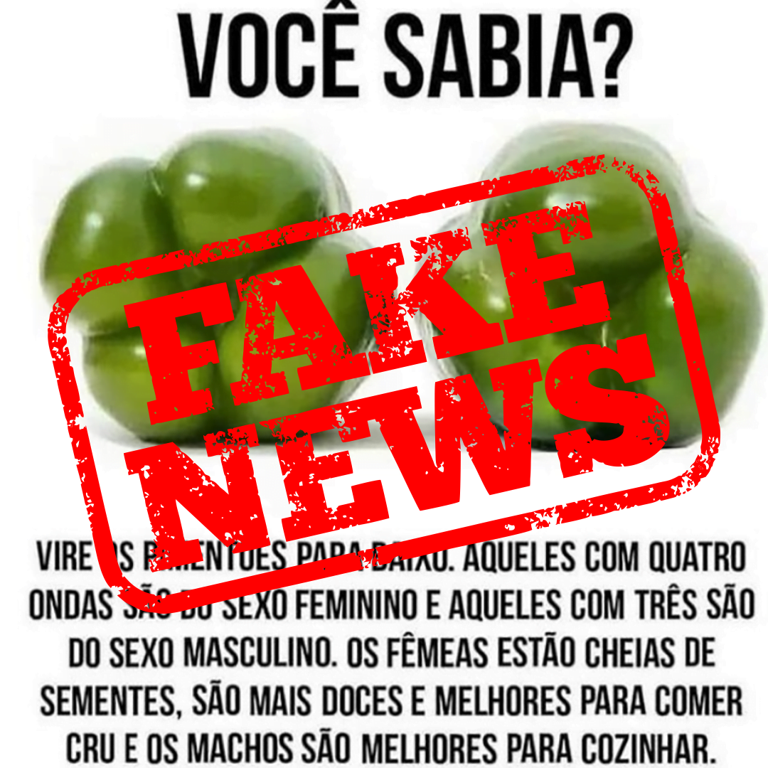 Pimentão Macho e Fêmea – Fake News