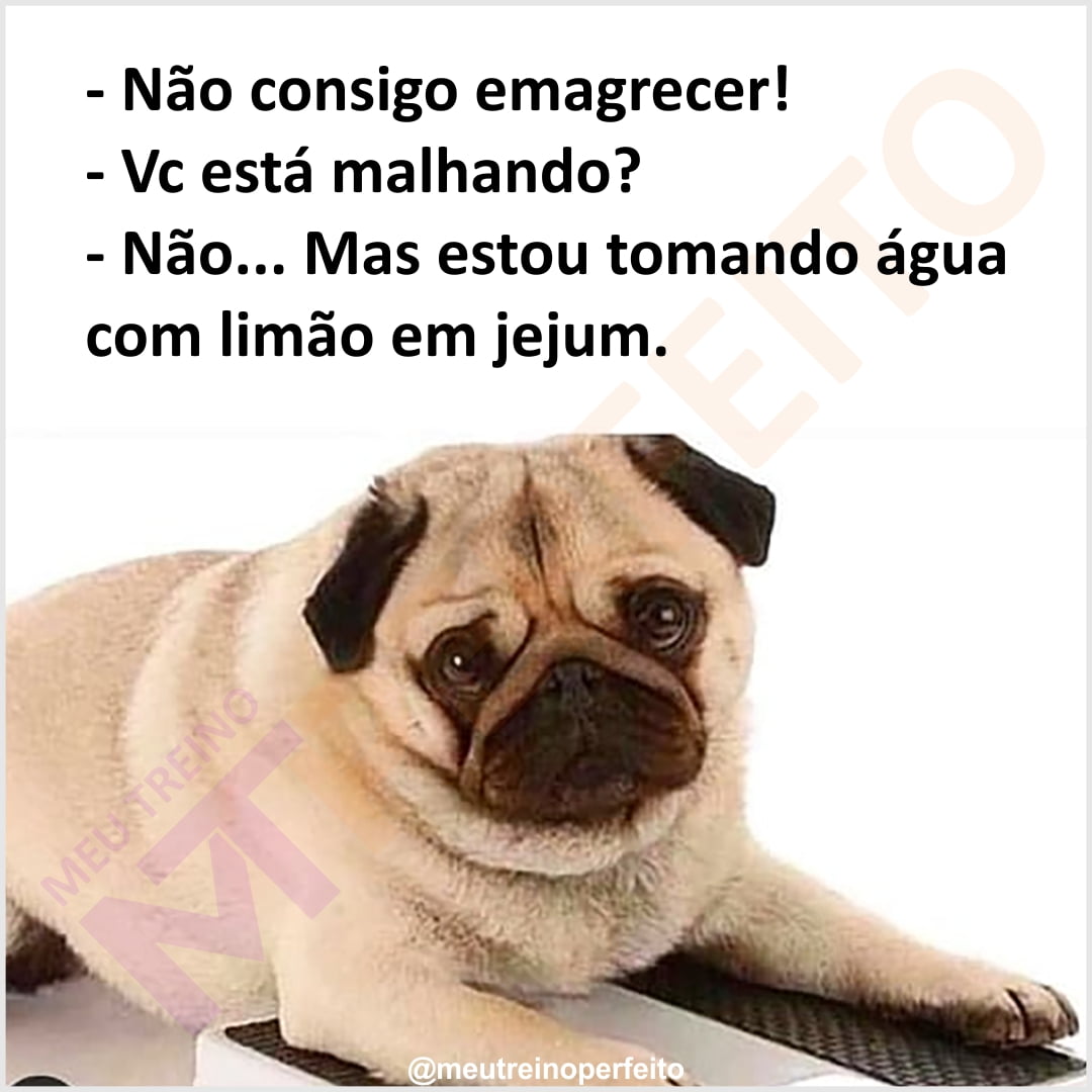 Não consigo emagrecer!