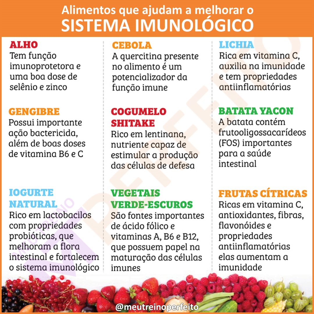 Alimentos que ajudam a melhorar o sistema imunológico