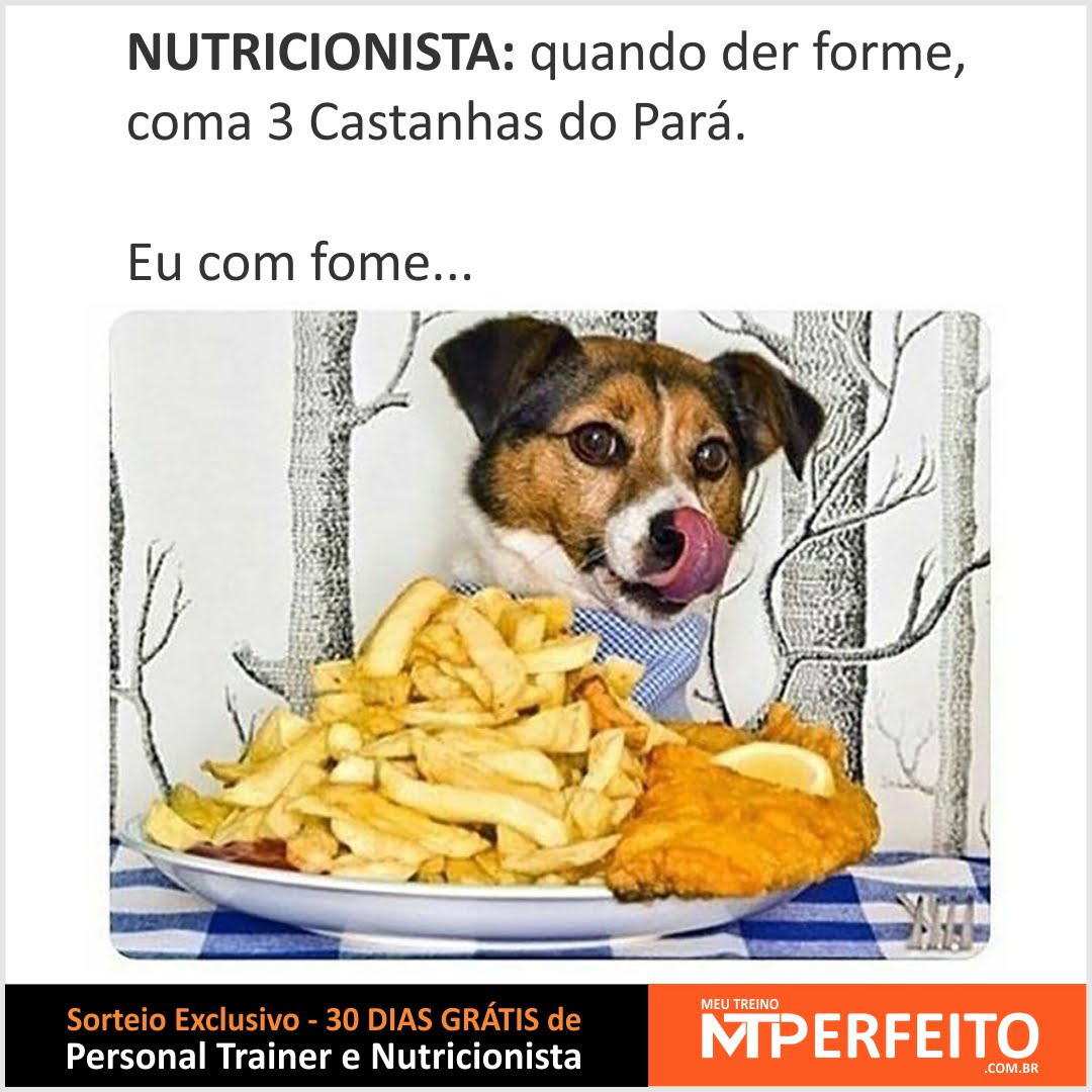 Quando der fome, coma 3 Castanhas do Pará!