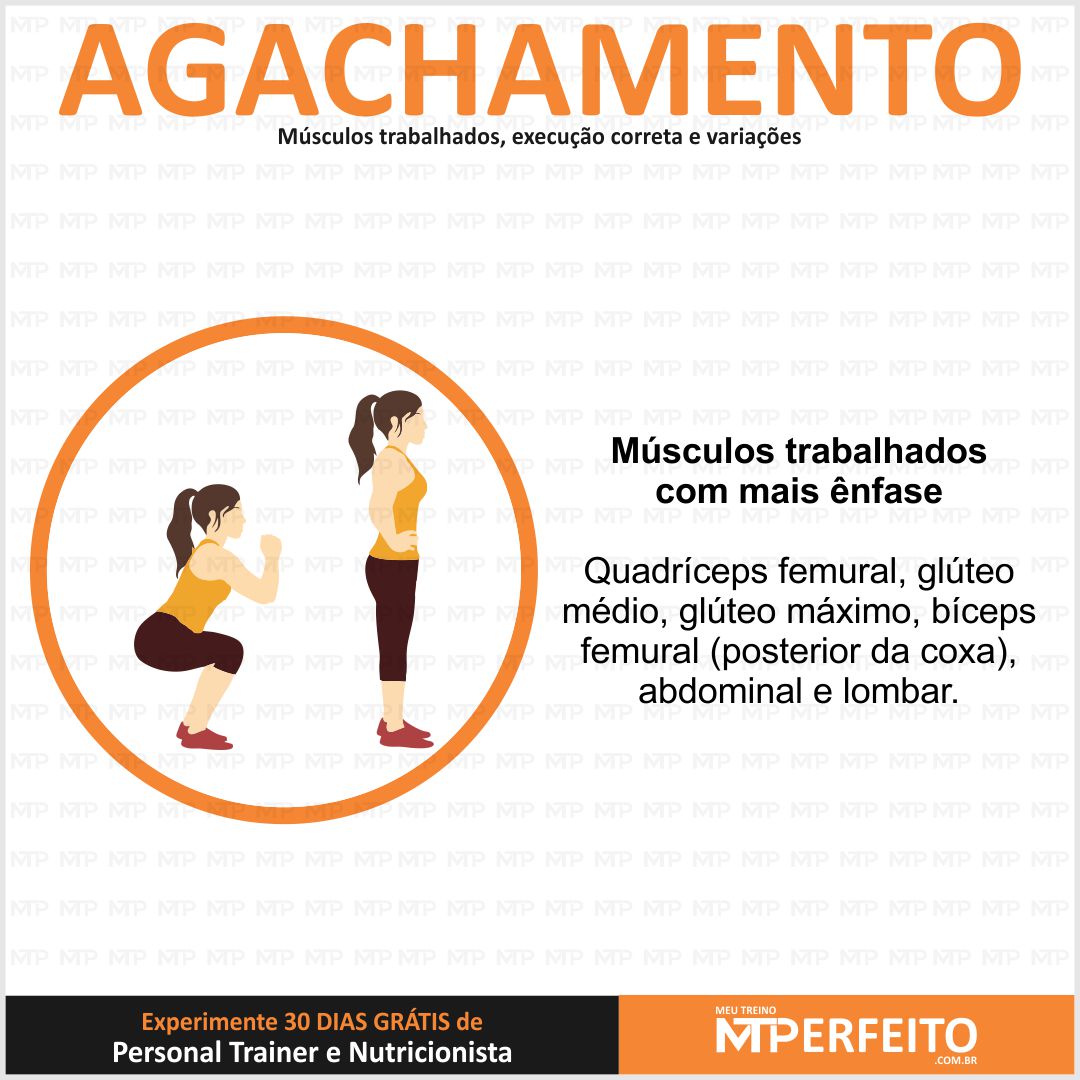 Agachamento – Músculos trabalhados, execução correta e variações