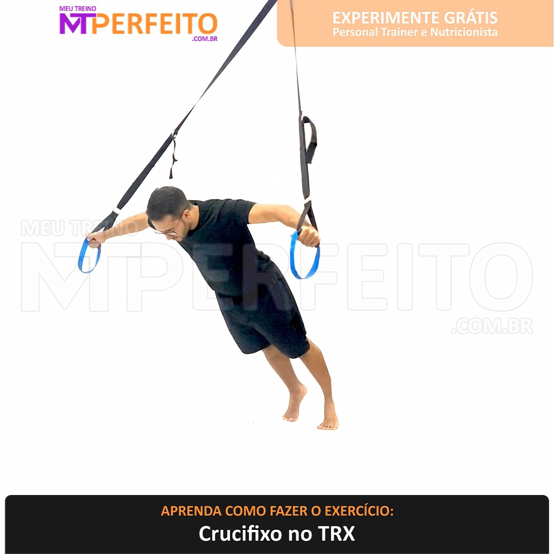 Alternador no TRX