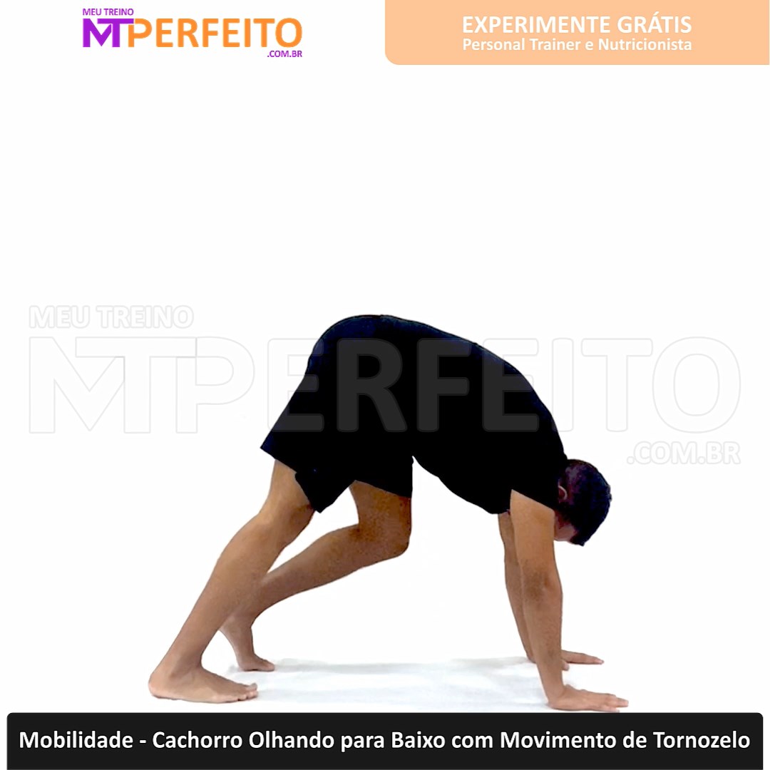 Mobilidade – Cachorro Olhando para Baixo com Movimento de Tornozelo