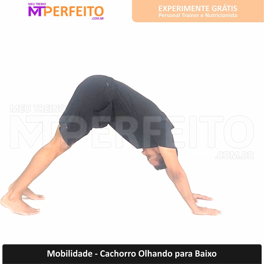 Mobilidade – Cachorro Olhando para Baixo