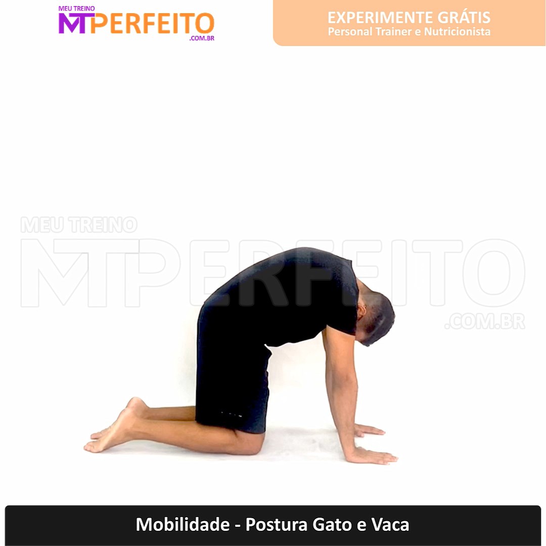 Mobilidade – Postura Gato e Vaca