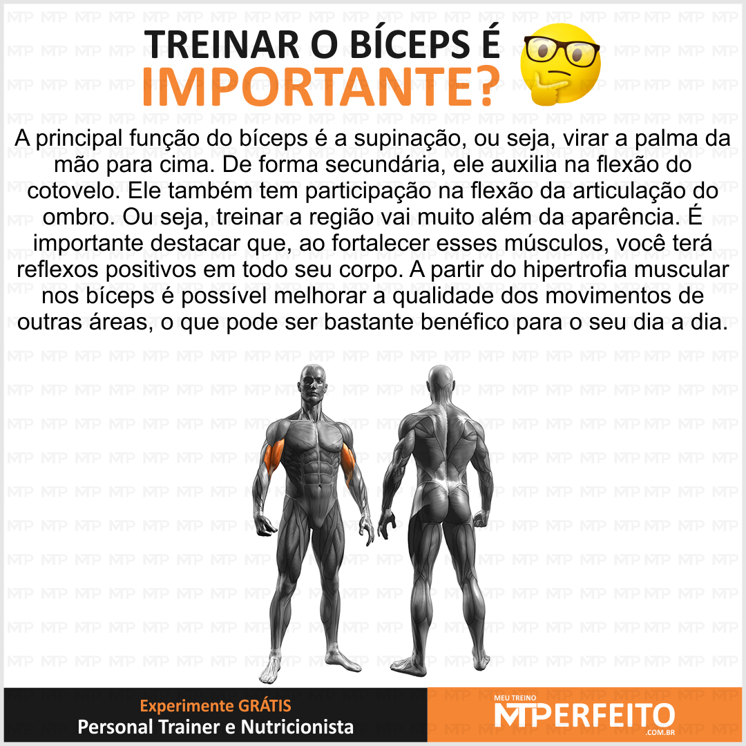 Treino de hipertrofia para bíceps, como melhorar os resultados?