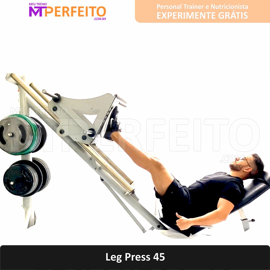 Leg Press 45