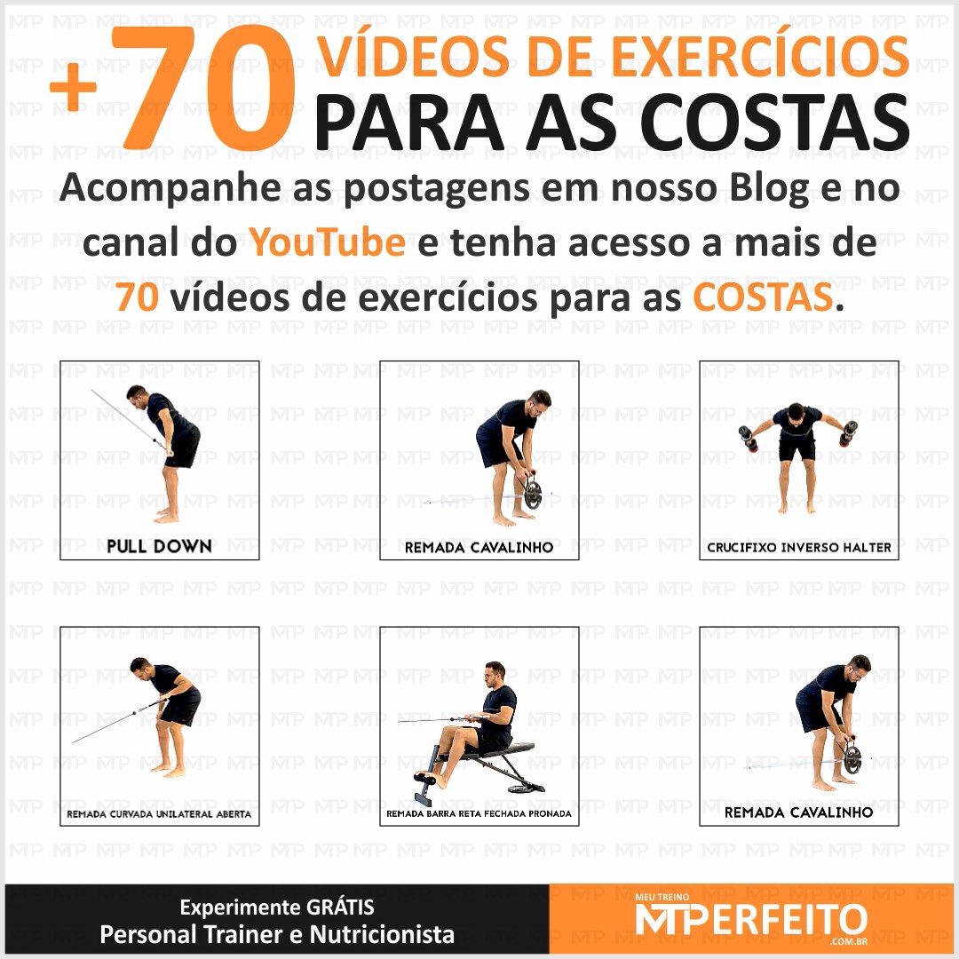 Mais de 70 Vídeos de Exercícios para as Costas