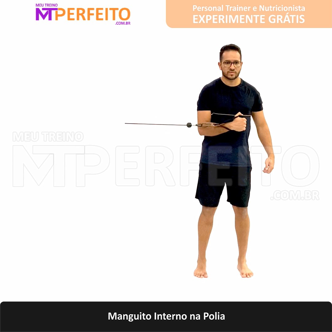 Manguito Interno na Polia