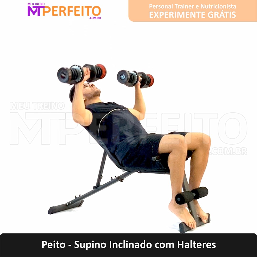 Peito – Supino Inclinado com Halteres