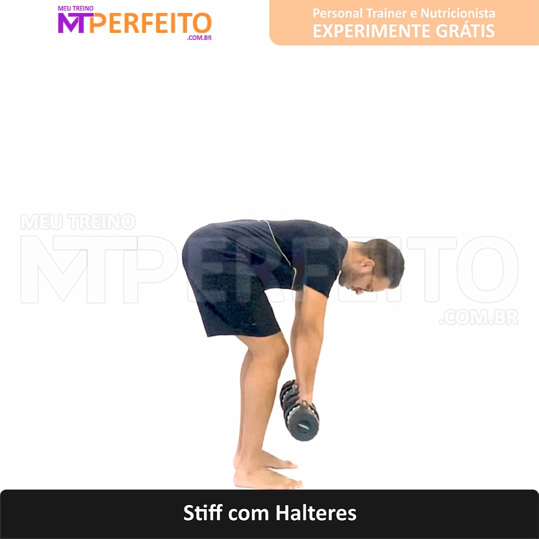 Stiff com Halteres