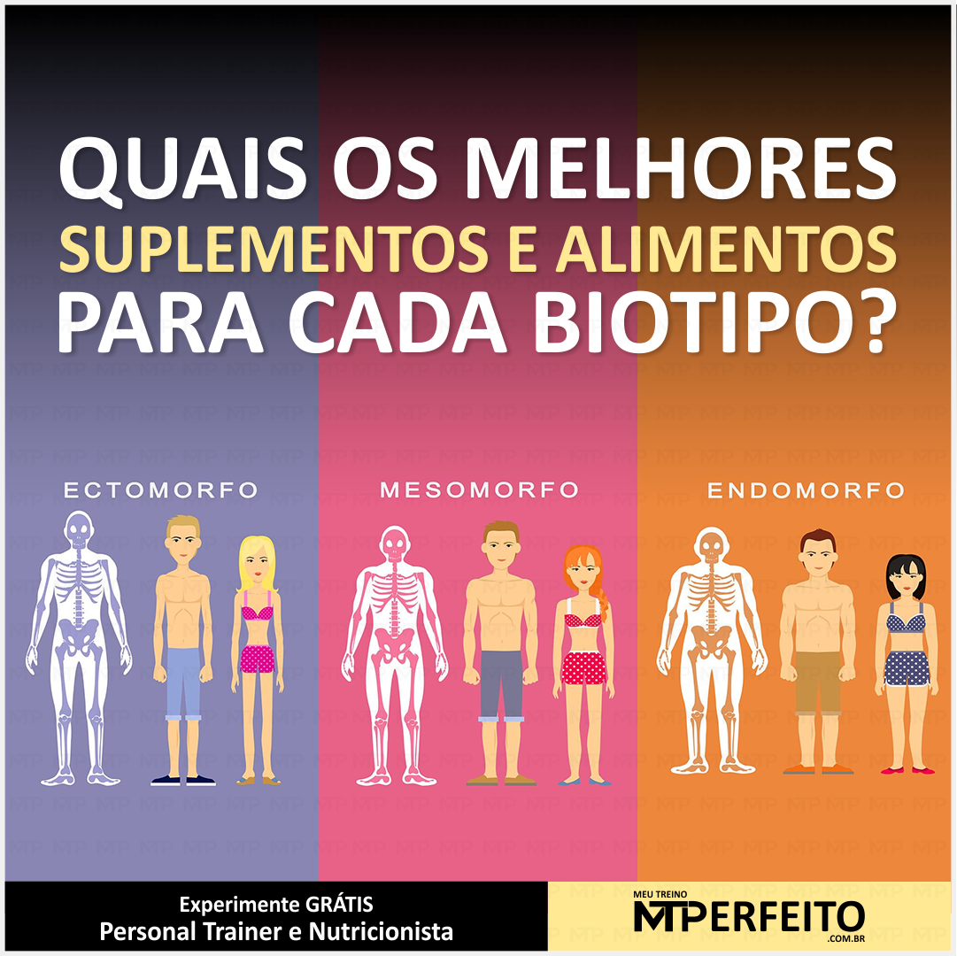 Ectomorfo, Mesomorfo e o Endomorfo – Os melhores suplementos e alimentos para cada biotipo