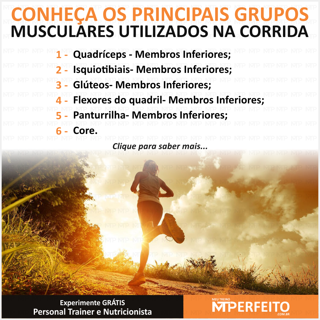 Conheça os principais grupos musculares usados na corrida