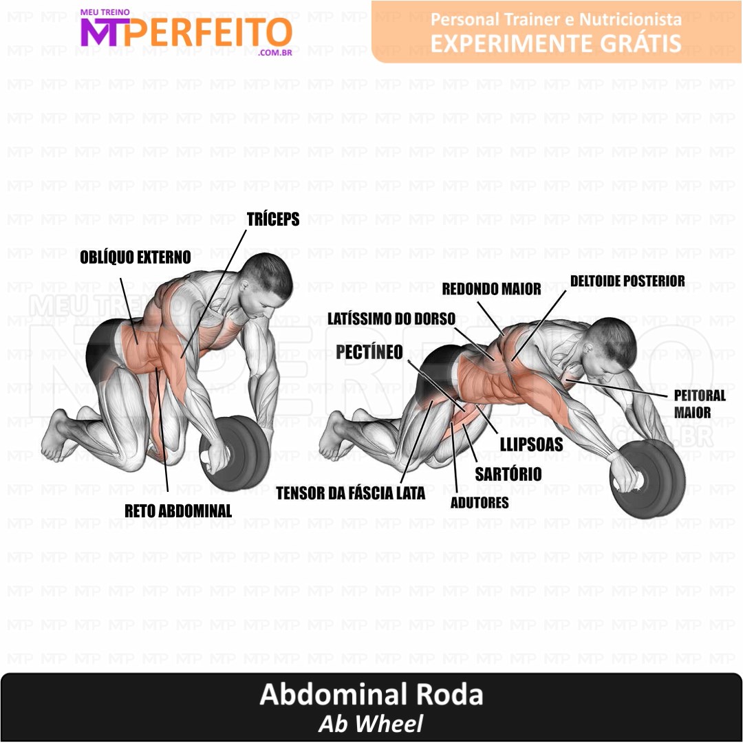 Abdominal Roda - Meu Treino Perfeito